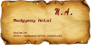 Medgyesy Antal névjegykártya